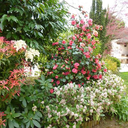 Comblanchien Le Reflet Des Vignes B&B 외부 사진